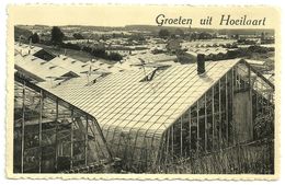 GROETEN  UIT  HOEILAART  -  Het Glazen Dorp / Les Serres - Hoeilaart