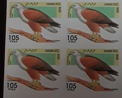 O) 1945 SAHARA  OCC - AFRICA,  IMPERFORATE,  BIRD  - EAGLE - PREDATORY BIRD, MNH - Africa (Other)
