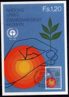 NATIONS UNIES GENEVE ONU UN UNO 19 3 1982 ENVIRONNEMENTE HUMAIN HUMAN ENVIRNOMENT  FDC MAXI CARD CARTOLINA MAXIMUM - Maximumkaarten