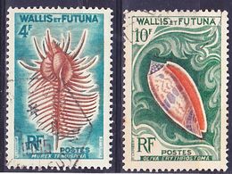 Wallis Et Futuna 1962 Coquillages Mi 196, 197 Oblitéré O - Usati