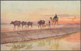 Evening On The Nile, Near Cairo, C.1910s - Tuck's Oilette Postcard - Cairo