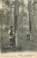 Landes * Cramponnage Des Pins , Mise En Place Des Pots * Métier Ancien * Cpa Dos 1900 - Autres & Non Classés