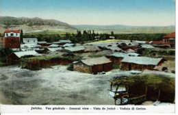 Jericho - Vue Générale - General View - Israel