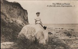 ! Alte Ansichtskarte, Adel, Royalty, Prinz Wilhelm Von Preussen, Aufnahme G. Berger, Potsdam, 1910 - Königshäuser