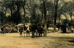 Blois * Le Marché Aux Boeufs Bestiaux * Foire - Blois