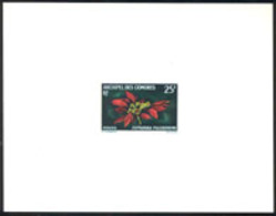 COMORO ISLANDS (1970) Poinsettia. Deluxe Sheet. Scott No 82, Yvert No 57. - Altri & Non Classificati
