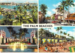 Palm Beach - Multivues - Palm Beach