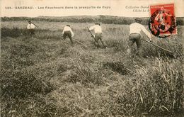 Sarzeau * Les Faucheurs Dans La Presqu'île De Ruys * Travail Au Champs * Agriculture Agriculteur Agricole - Sarzeau