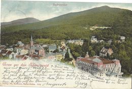 Gruss Aus Dem Schwarzwald (Badenweiler) - 2.6.1902 - Badenweiler