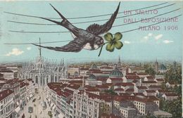 Cartolina - Postcard /  Viaggiata - Sent /  Milano, Un Saluto Dall'Esposizione Di Milano 1906 - Milano (Milan)