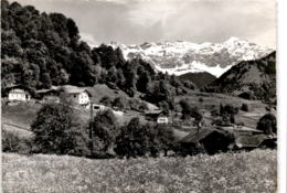 Seewis - Terlischa Mit Scesaplana (10158) * 31. 5. 1966 - Seewis Im Prättigau