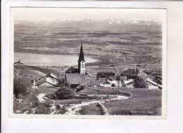 CPM PHOTO BULLET ET LES ALPES En 1959! (voir Imbre) - Bullet