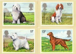 GB GREAT BRITAIN 1979 MINT PHQ CARDS DOGS No 33 SHEEPDOG WELSH SPRINGER SPANIEL WEST HIGHLAND TERRIER IRISH SETTER - Cartes PHQ