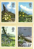 GB GREAT BRITAIN 1979 MINT PHQ CARDS SPRING TIME WILD FLOWERS No 34 PRIMROSE DAFFODIL BLUEBELL SNOWDROP FLORA PLANTS - Cartes PHQ