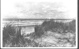 Nederland Holland Pays Bas Ameland Nes Zee En Duinen 1954 - Ameland