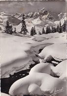 L'HIVER DANS LES ALPES (dil462) - Rhône-Alpes