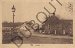 Postkaart - Carte Postale - Viersel - Dijk   (B520) - Zandhoven