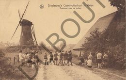 Postkaart - Carte Postale - Kalmthout - Diesterweg's Openluchtschool Te Heide - Molen   (B580) - Kalmthout