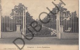 Postkaart - Carte Postale - Edegem - Jardin Coesemans  (B555) - Edegem