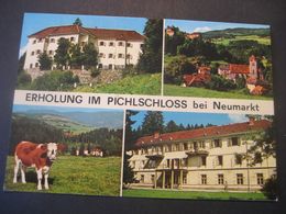 Österreich- AK Pichlschloss Bei Neumarkt, Verlag Lepuschütz - Neumarkt