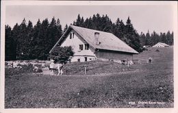 Chalet D'alpage Sans Souci, La Cernia Rochefort ? (11138) - Rochefort