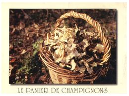 (C 3) Mushroms BNasket - Champignon - France - Mushrooms