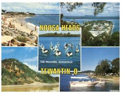 (C 5) Australia - QLD - Noosa Heads & Tewantin - Sunshine Coast