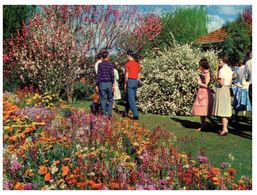 (C 5) Australia - QLD - Toowoomba Carnivel Of Flowers - Towoomba / Darling Downs