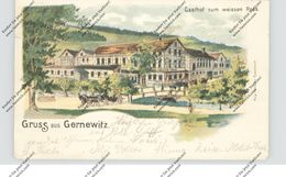 0-6540 STADTRODA - GERNEWITZ, Lithographie, Gasthof Zum Weissen Ross, 1902 - Stadtroda