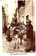 Costumbres Andaluzas - Marchand Ambulant De Fruits Et Légumes Avec Un Âne Bâté - Marchands