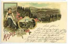 Gruss Aus MIESBACH In Bayern 1899 Schöne Litho Ansichtskarte - Miesbach