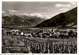 Wein Vom Jungen Rhein In Maienfeld (451) * 15. 10. 1958 - Maienfeld