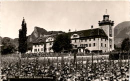 Maienfeld - Schloss Salenegg (10635) - Maienfeld