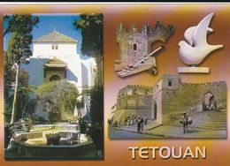 Delcampe - Carte Postale. Maroc. Tétouan.  Portes. Murailles. Fontaines. - Monumentos