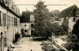 Salies De Béarn * Domaine De Beaulieu - Salies De Bearn