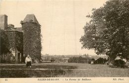 Salies De Béarn * La Ferme De Baillenx - Salies De Bearn