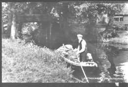 Nederland Holland Pays Bas Giethoorn Groentenman - Giethoorn