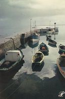 Cpm 10x15. PRESTIGE . CHARENTE MARITIME .N° 17-P7 Barques Et Bateaux De Pêche Amarrés Au Port - Photographs