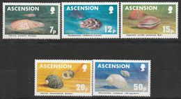 ASCENSION - N°348/52 ** (1983) Coquillages / Shells - Coneshells