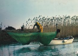 Cpm 10x15. PRESTIGE.  CHARENTE MARITIME N° 17- P53 . Pêcheur Lançant Ses Filets - Fotografie