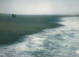 Cpm 10x15. PRESTIGE.  CHARENTE MARITIME N° 179046- P46 .Silhouettes De Couple à L'horizon Marchant à Marée Basse - Photographs