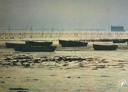 Cpm 10x15. PRESTIGE.  CHARENTE MARITIME N° 179050- P50 .Barques à Marée Basse - Photographie