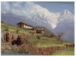 (C 6) Nepal - Hotel Shanker - With Stamp - Népal