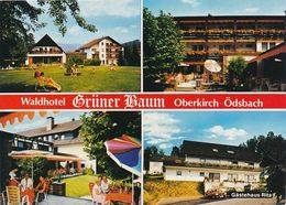 8CP (ttes Catégories En Lot) Allemagne - Oberkirch - Diverse Ansichten -Envoi Gratuit - Oberkirch