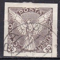 Cecoslovacchia, 1918/20 - 30h Windhover - Nr.P6 Usato° - Zeitungsmarken