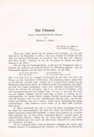 598 - Richard Von Strele Der Palmesel Historische Skizze Artikel Von 1897 !!                                           . - Andere & Zonder Classificatie