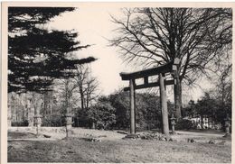 CPA NELS - MUSEE ROYAL DE MARIEMONT - LA PORTE ET LES LANTERNES JAPONAISES - NEUVE - NON AFRANCHIE. - Morlanwelz