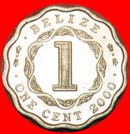 · COLONIAL PORTRAIT (1976-2016): BELIZE ★ 1 CENT 2000 UNC MINT LUSTER! LOW START ★ NO RESERVE! - Belize