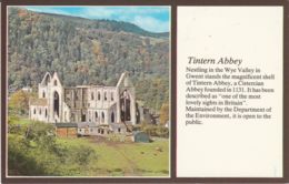 Postcard - Tintern Abbey - Card No.28354 Unused  Very Good - Monmouthshire