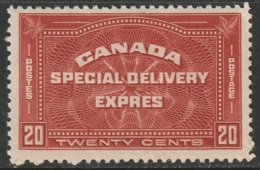 Canada Sc E4 Special Delivery MH With Some DG - Exprès